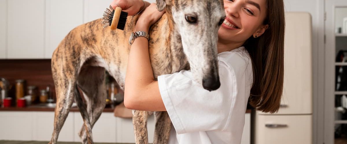 Veterinarios a domicilio, una opción ideal para que a tu mascota no le dé miedo