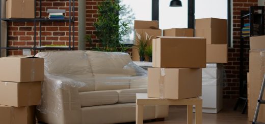 Mudanzas en Girona tendencias, retos y perspectivas del sector